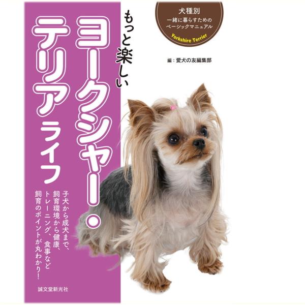 Lively＆Lovely　ライブリー＆ラブリー　ヨークシャーテリア minnaegao_sb51922