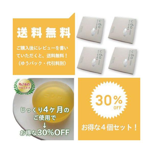 EhGbZXΌ 100g ul\炿̃EhΌv 4Zbg 33%OFF  qp  ΂