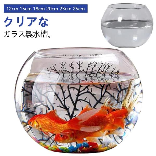 30cm 金魚鉢 ガラス製 透明 丸 鉢 和風 可愛い ミニ水槽 おし
