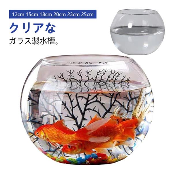 金魚鉢 花瓶 フラワーベース 丸型金魚鉢 水槽 小型水槽 飼育水槽