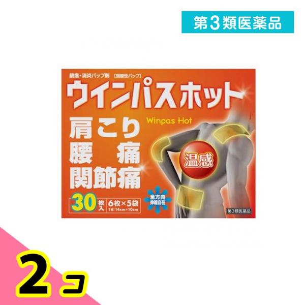 第３類医薬品 ウインパスホット 30枚 2個セット