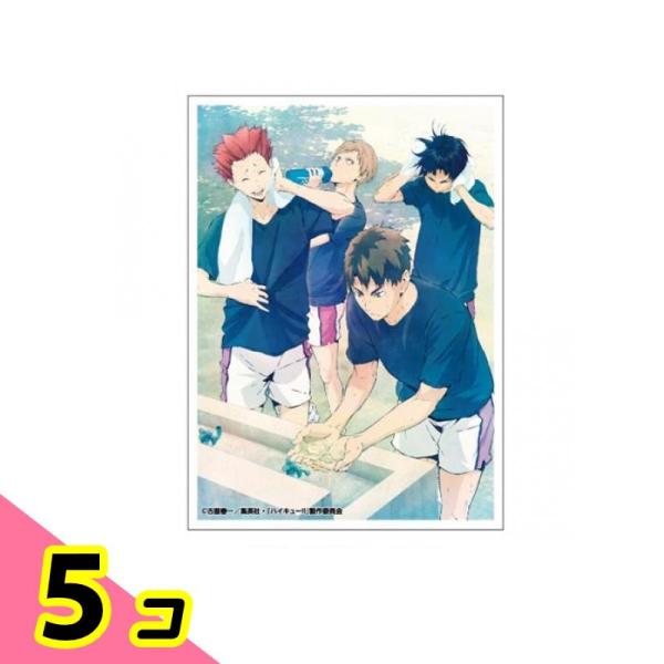 エンスカイ アニメ ハイキュー!! キャラクタースリーブ 67×92mm 若葉風
