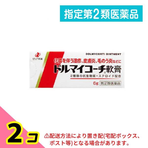 指定第２類医薬品 ドルマイコーチ軟膏 6g 抗菌 軟膏 化膿 2個セット