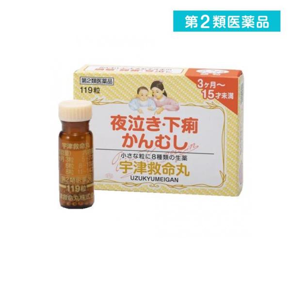2980円以上で注文可能  第２類医薬品 宇津救命丸〈銀粒〉 119粒 (1個)