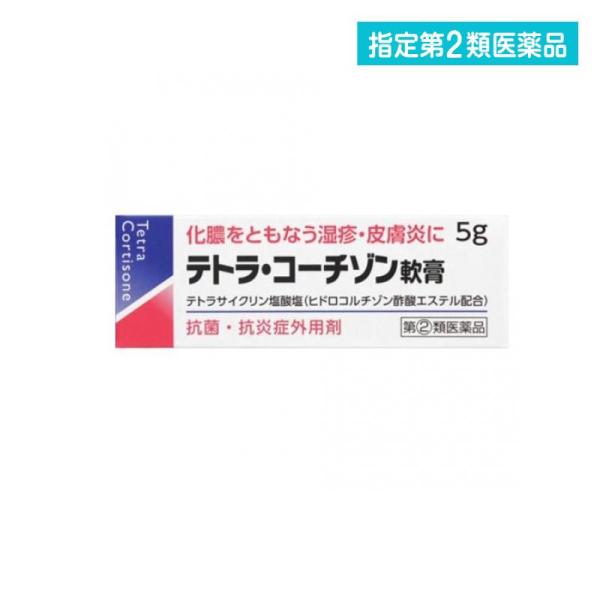 2980円以上で注文可能  指定第２類医薬品 テトラ・コーチゾン軟膏 5g 化膿止め 塗り薬 ステロイド 抗生物質 湿疹 皮膚炎 虫刺され 子供 市販 (1個)