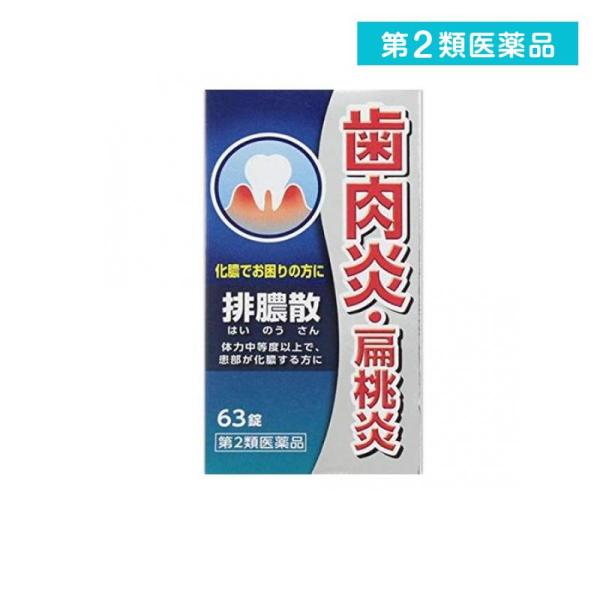 他サイト： 2980円以上で注文可能  第２類医薬品 排膿散エキス錠J 63錠 漢方薬 飲み薬 歯肉炎 扁桃炎 市販 (1個)の商品画像