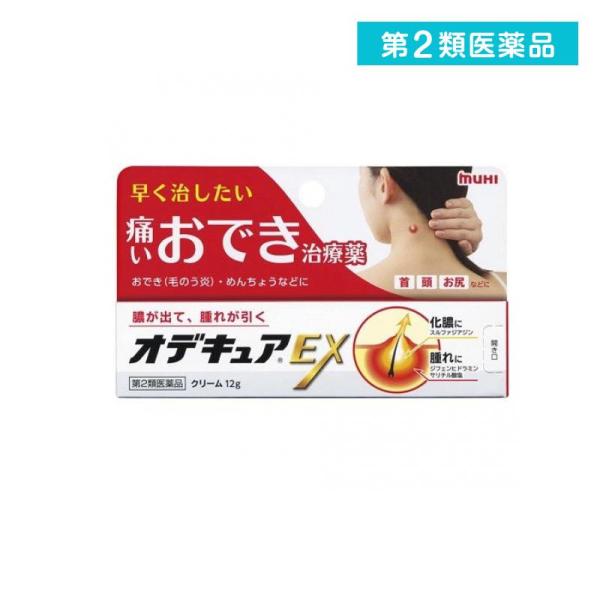 他サイト： 第２類医薬品 オデキュアEX 12g (1個)の商品画像