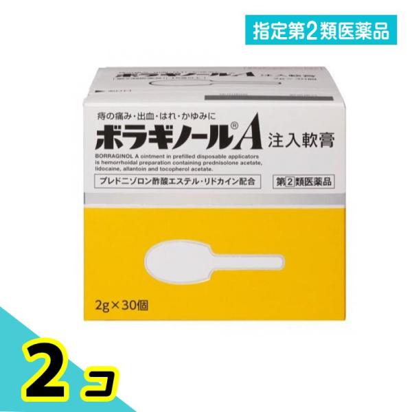 他サイト： 指定第２類医薬品 ボラギノールA注入軟膏 2g× 30個入 2個セットの商品画像