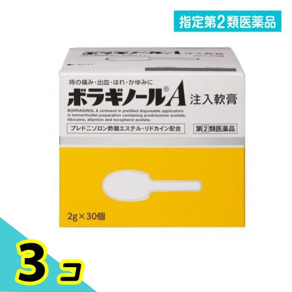 他サイト： 指定第２類医薬品 ボラギノールA注入軟膏 2g× 30個入 3個セットの商品画像