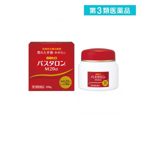 他サイト： 第３類医薬品 パスタロンM20α 100g (1個)の商品画像