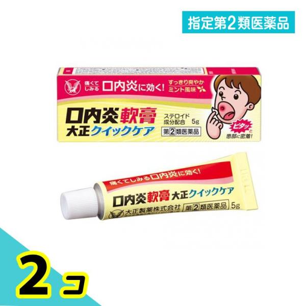 指定第２類医薬品 口内炎軟膏大正クイックケア 5g 2個セット