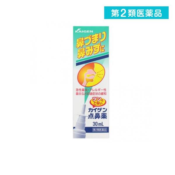 カイゲン点鼻薬 30mL 鼻炎スプレー 鼻づまり 鼻水 風邪 アレルギー性鼻炎 花粉症 市販 (1個)  第２類医薬品