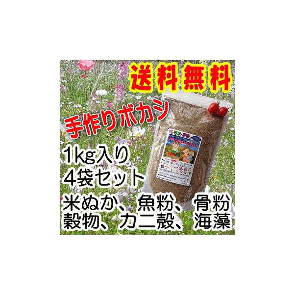 n݂̂{JV엿 1kg S܃Zbg/L@엿 ڂ엿 o ΂  Ăʂ   
