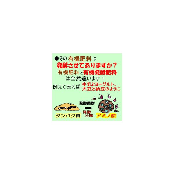 こだわり派の発酵肥料 熟成みのりボカシ肥料 4 3kg入 ２袋セット 有機肥料 ぼかし肥料 バラ ばら 野菜 米ぬか 魚粉 油かす 骨粉 Buyee Buyee Japanese Proxy Service Buy From Japan Bot Online