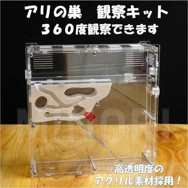 アリの巣観察キット(完成) Amazon | Yiteng アリ飼育キット 3D立体構造 アクリルケース 砂巣 アリ