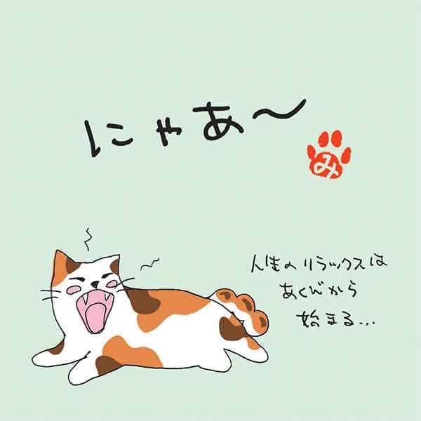 �˂��� �[������ �e�B�[�o�b�O�i�ɂႠ�`�j �L �݂��炵�����i3�����j ���i�摜