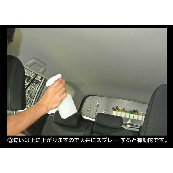 minsen_s-00056_5_d_20230518145810