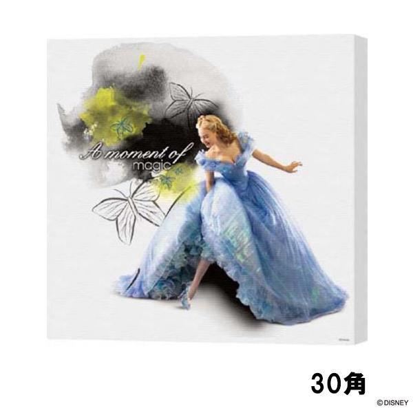 ディズニー キャンバスパネル 30角 シンデレラ12 H