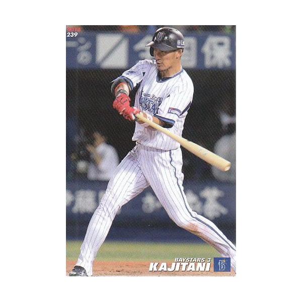 14カルビープロ野球チップス第3弾 #239 梶谷隆幸 : スポーツ