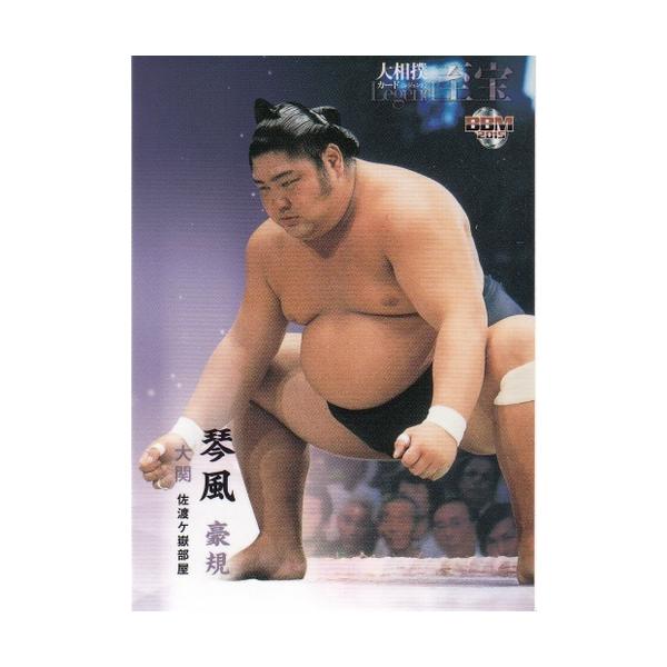 15BBM 大相撲カード LEGEND 至宝 #09 琴風 豪規 : スポーツ