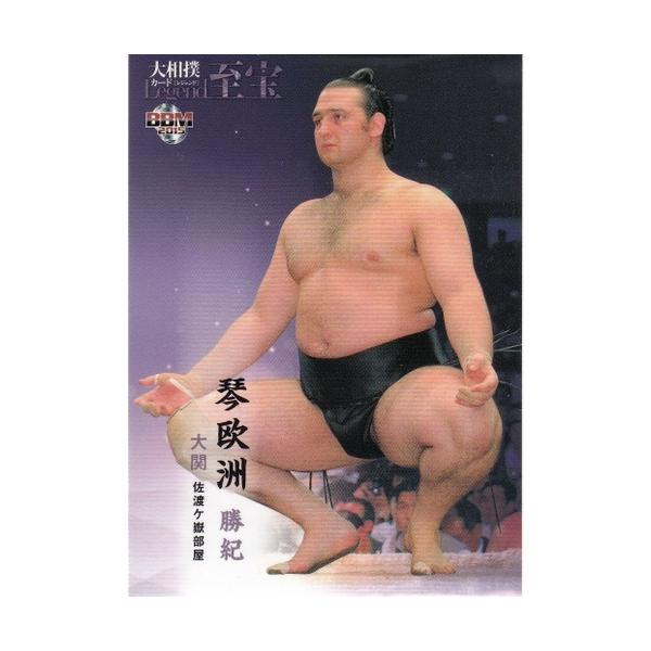 15BBM 大相撲カード LEGEND 至宝 #19 琴欧州 勝紀 : スポーツカード