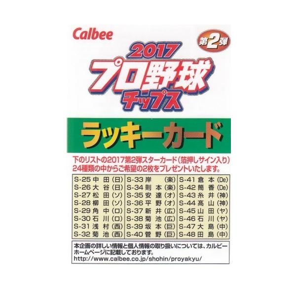 17カルビープロ野球チップス第2弾 ラッキーカード : スポーツ