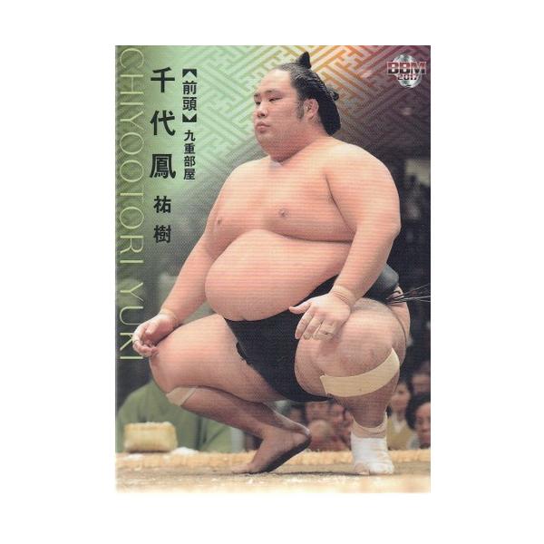 プレミアム相撲カード 17BBM大相撲カード #35 千代鳳 : スポーツカードミント博多駅前店
