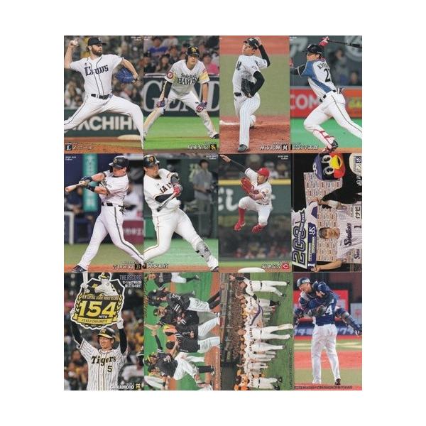 20カルビープロ野球チップス第1弾 レギュラーコンプリートセット