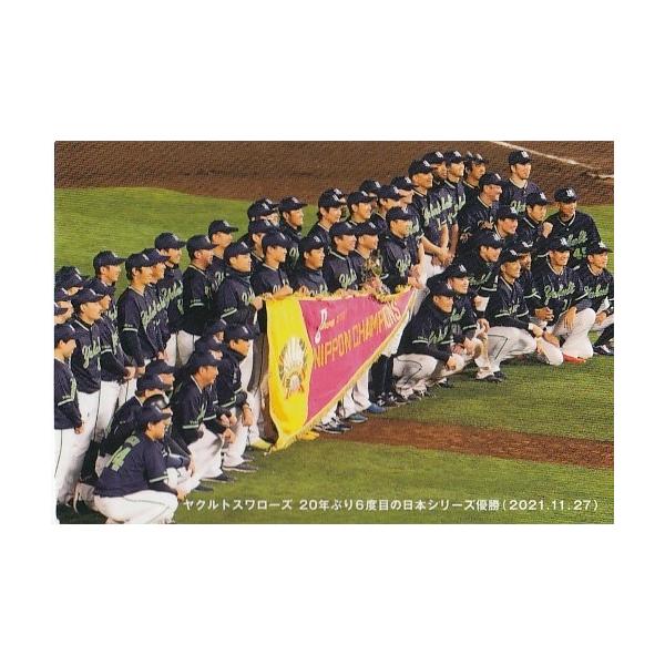mintkashii_22cal1-c-001