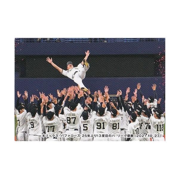 mintkashii_22cal1-c-002