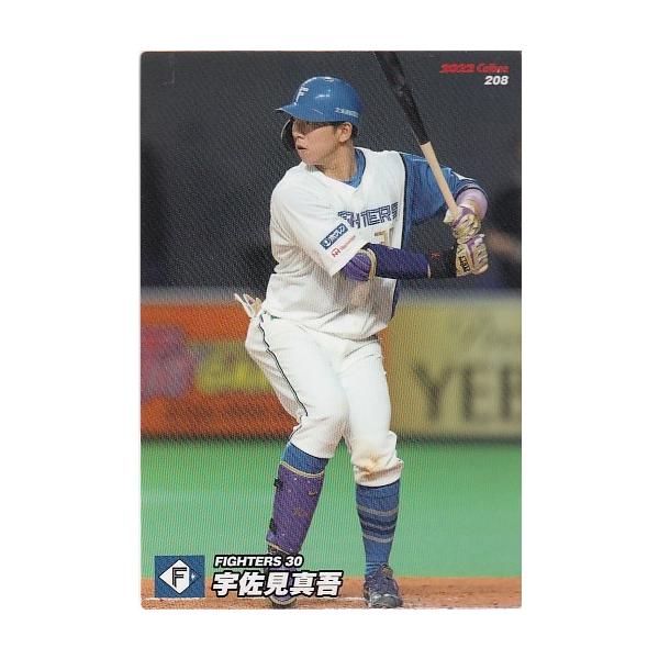 mintkashii_22cal3-208