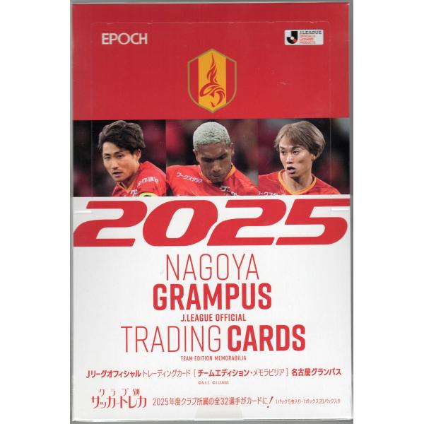 NAGOYA GRAMPUS 20周年記念オフィシャルDVD 名古屋グランパス最強軍団への軌跡 何がチームを強くしたのか!? ~20人の証言~ NAGOYA GRAMPUS 20周年記念オフィシャルDVD 名古屋グランパス