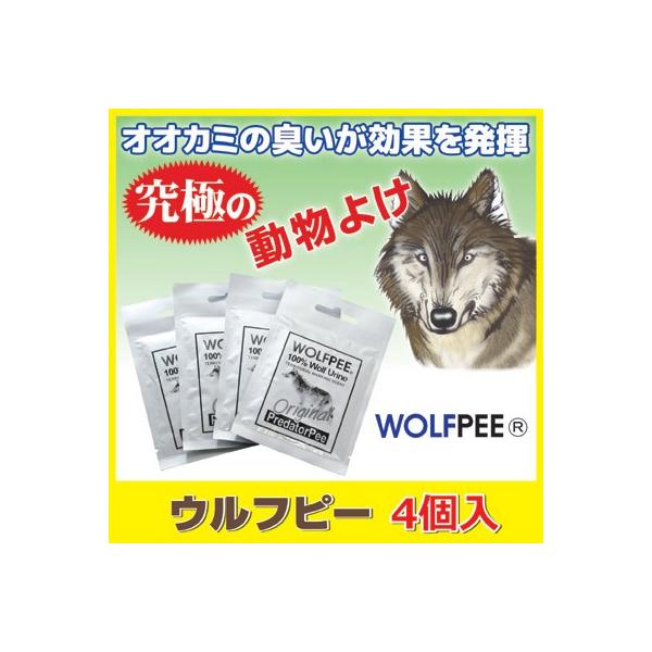 T̔A Qb Ets[ 4ܓ Qb΍ CmVV 悯 F悯 oR L  }[LOh~  | 