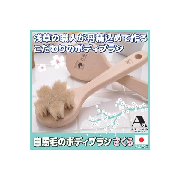 {fBuV w 󑐃A[guV nт̃{fBuV  n _炩 oXObY  Mtg NX}X v[g  {