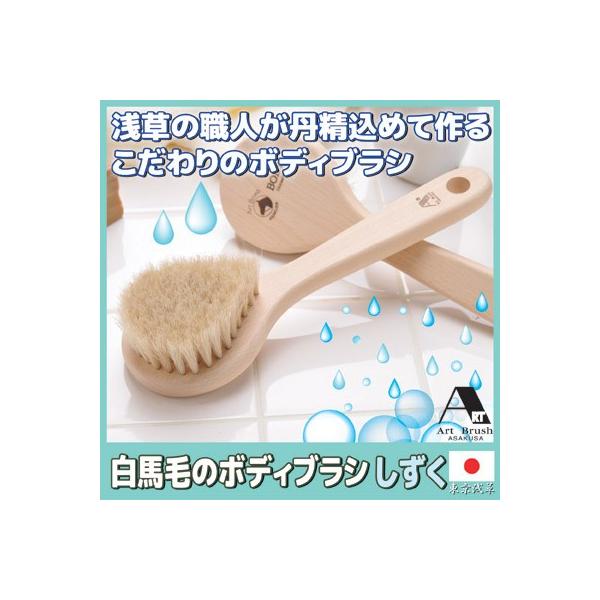 {fBuV w 󑐃A[guV nт̃{fBuV  n _炩 oXObY  Mtg NX}X v[g  {