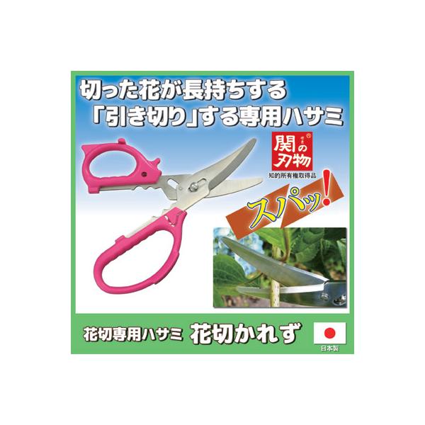 Ԃ΂  ԐؐpnT~ Ԑ؂ꂸ  Ԑ؂ ؂Ԓ  t[AWg ؓ | K[fjO [ 