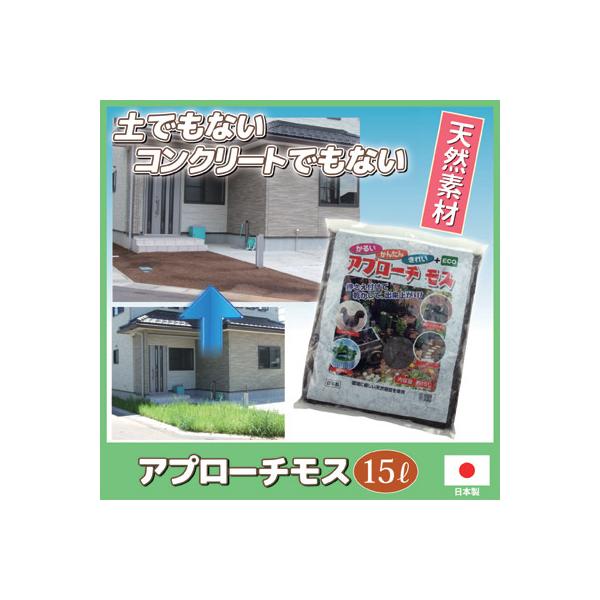  S h Av[`X G΍ K[fjO   h V[g   O\ ԏ Gh~ }  ł܂y