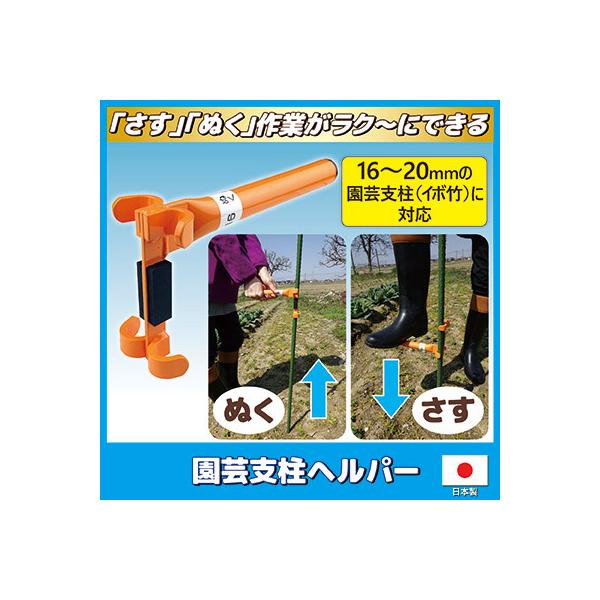 |xwp[ x  _Ǝx  N O[tFX K[f |pi K[fjO ƒ؉ ֗ObY  