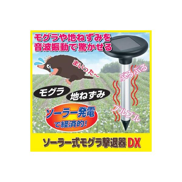 \[[ OފDX SV-6384 ގ ΍ 悯 |p Q쏜 Qb  gU nlY~ _Ǝ  K[fjO