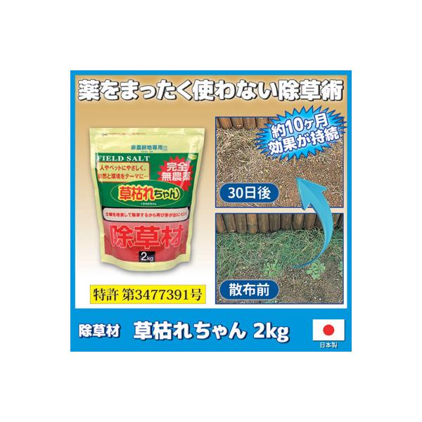  S _  ͂ꂿ 2kg G΍    S q ybg  L Q   G {