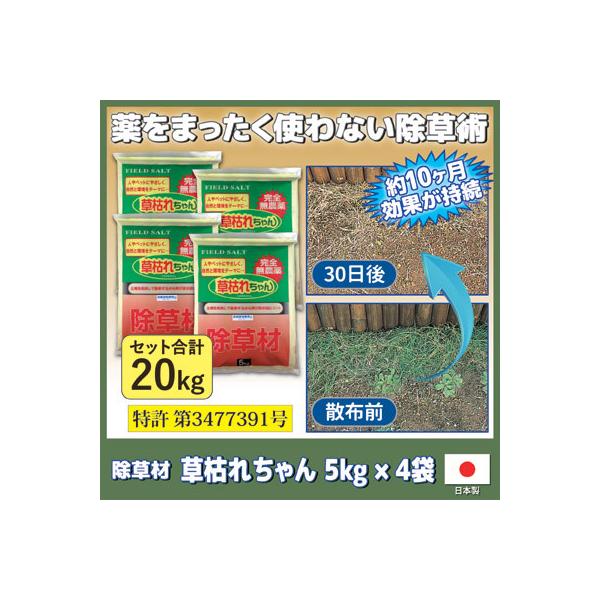  S _  ͂ꂿ 5kg×4܃Zbg G΍    S q ybg  L Q   {