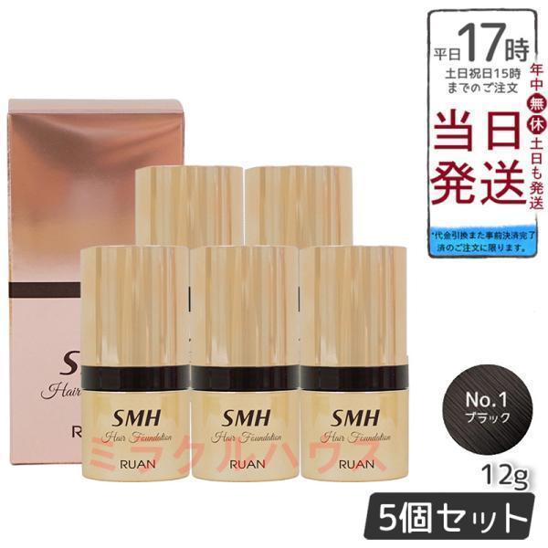 RUAN SMH ヘアファンデーション 12g 5個セット スーパーミリオンヘアー ルアン SMH ヘアファンデーション 12g No.1
