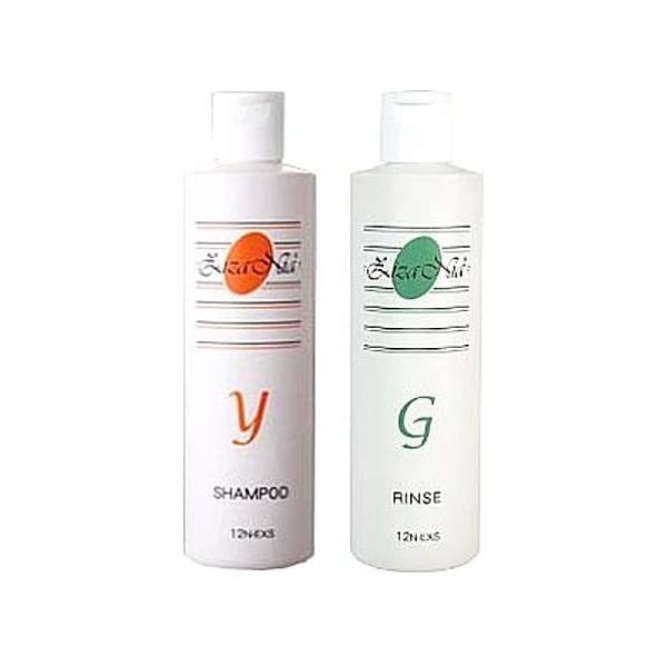 【福袋セール】の商品 ジザニアシャンプーY＋ジザニアリンスGセット ノンシリコン完全 シャンプー・コンディショナー