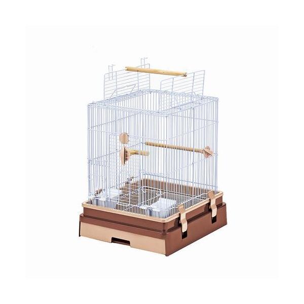 y}Jz@P[W@ZNgP[W Bird35