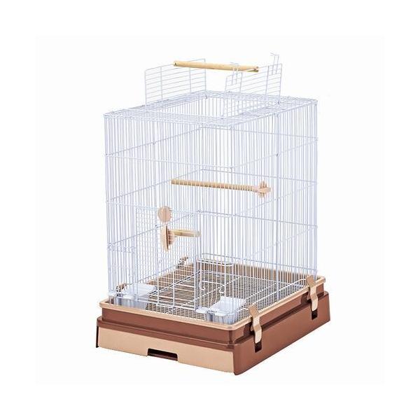 y}Jz@P[W@ZNgP[W Bird40