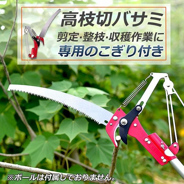 高枝切りバサミ ロープ式 高枝切りのこぎり 高枝ノコギリ 高枝切鋏