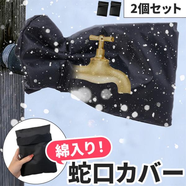 mirai22_e12-62ax2_1_d_20241216112030