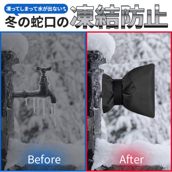 mirai22_e12-62ax2_2_d_20241216112027