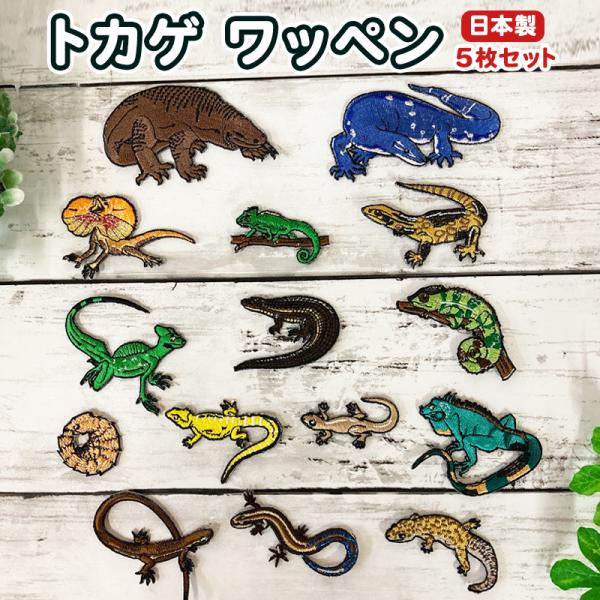 安いカナヘビ トカゲの通販商品を比較 ショッピング情報のオークファン