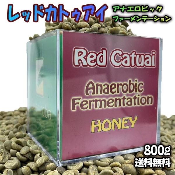 生豆セット RED CATUAI - Anaerobic Fermentation カトゥアイ・アナエロ